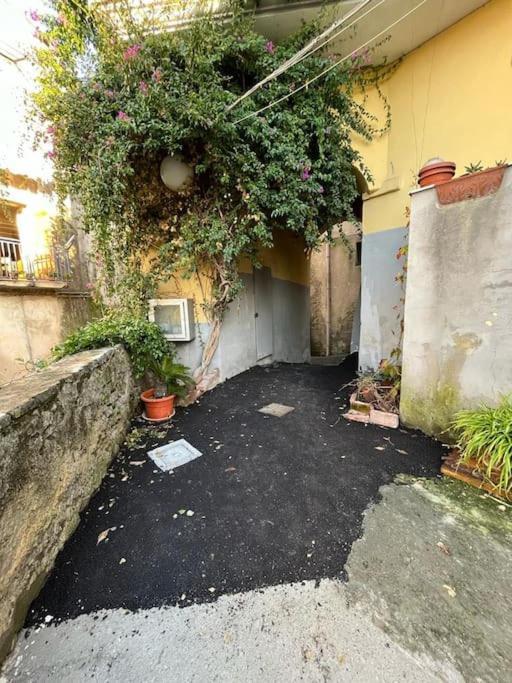 Appartamento Casa Al Vino Sul Vesuvio Pollena Trocchia Esterno foto